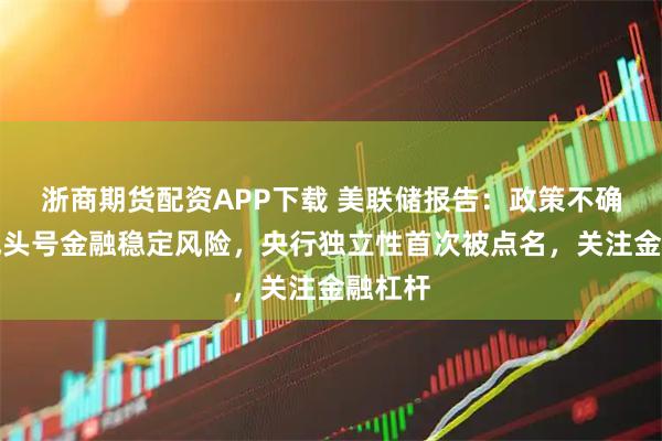 浙商期货配资APP下载 美联储报告：政策不确定性成头号金融稳定风险，央行独立性首次被点名，关注金融杠杆