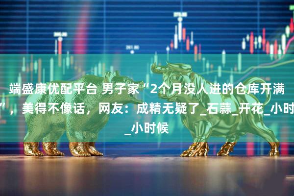 端盛康优配平台 男子家“2个月没人进的仓库开满花”，美得不像话，网友：成精无疑了_石蒜_开花_小时候