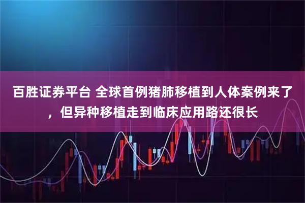 百胜证券平台 全球首例猪肺移植到人体案例来了，但异种移植走到临床应用路还很长